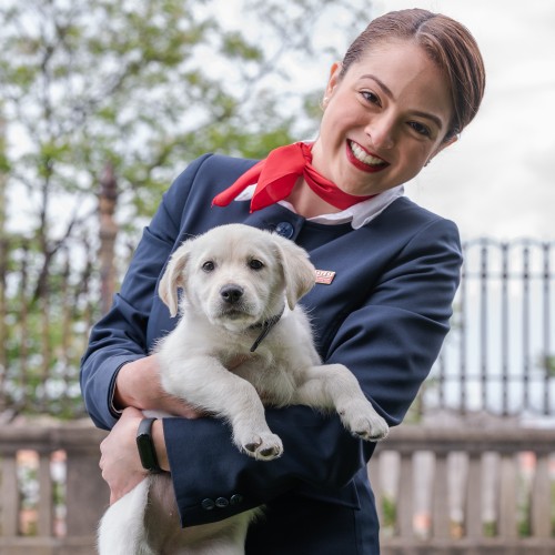 Viajar en avión con mascotas
